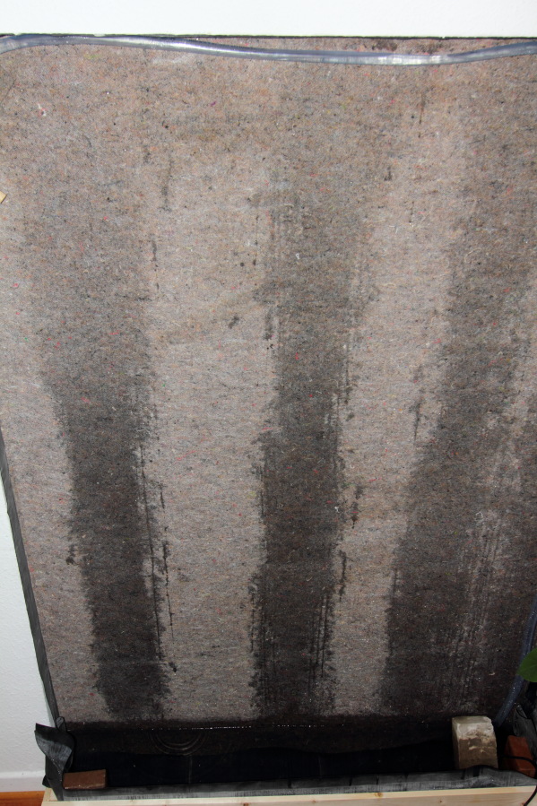 Lokation: Deutschland | Nordrhein-Westfalen | Bergisch Gladbach | Rodemich Kategorien: Pflanzenwand, Datum: 06.10.2013