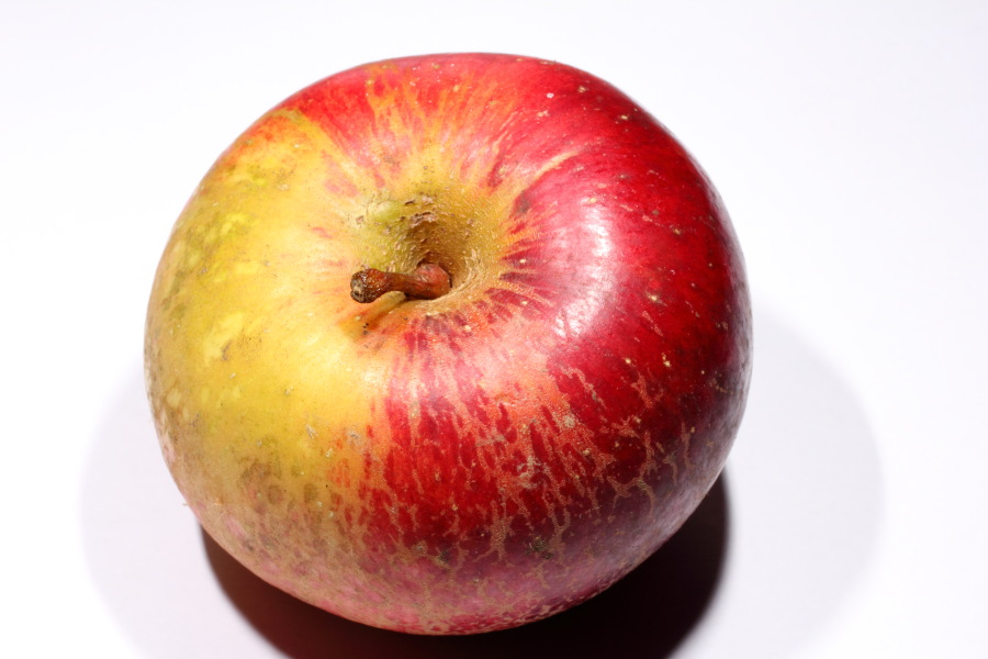 Lokation: Deutschland | Nordrhein-Westfalen | Bergisch Gladbach | Rodemich Kategorien: Äpfel, Datum: 22.10.2013