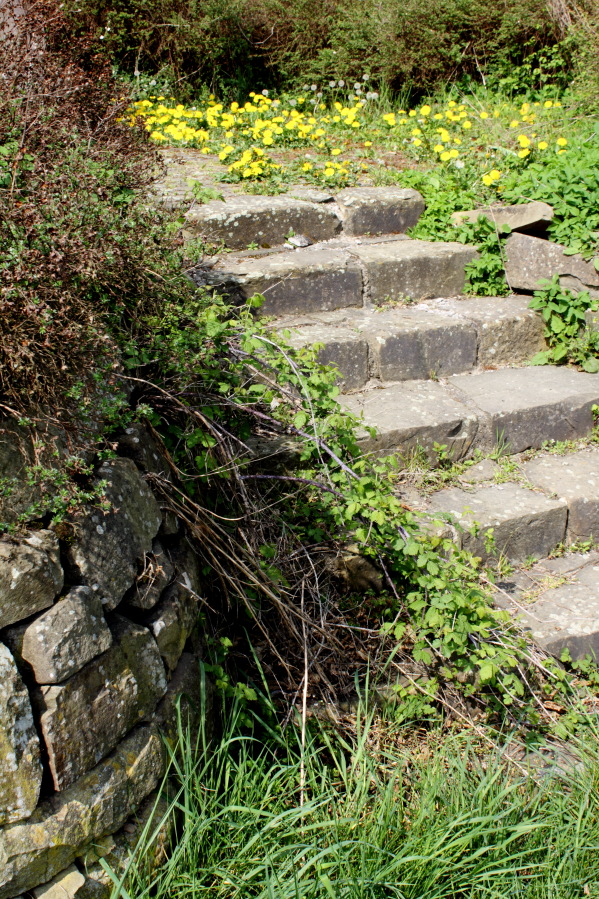 Lokation: Deutschland | Nordrhein-Westfalen | Bergisch Gladbach | Unterhombach Kategorien: Treppen, Datum: 12.04.2014