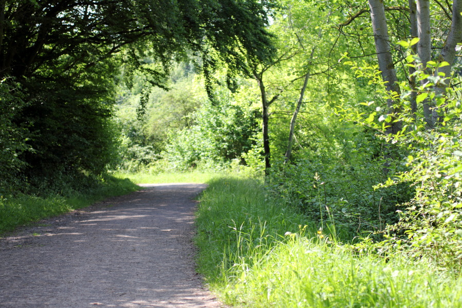 Lokation: Deutschland | Nordrhein-Westfalen | Bad Münstereifel | Eschweiler Kategorien: Landschaft, Datum: 31.05.2014