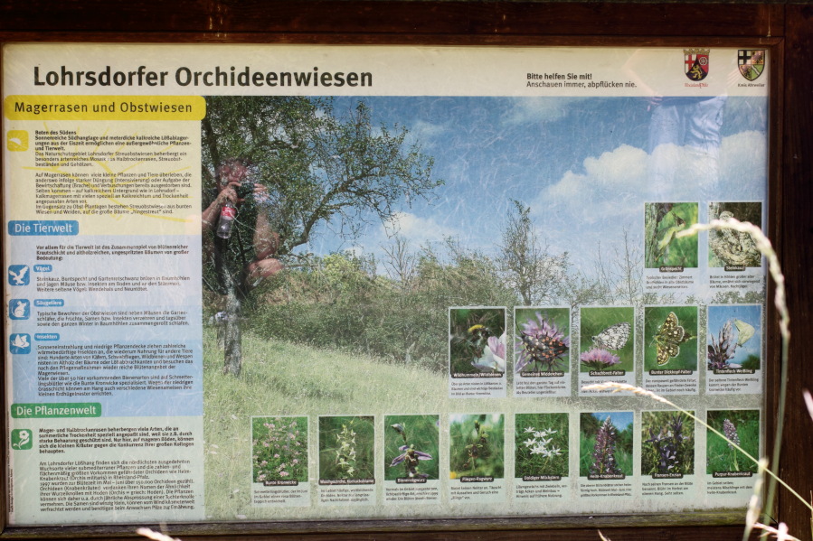 Lokation: Deutschland | Rheinland-Pfalz | Remagen | Lohrsdorf Kategorien: Illustration, Datum: 07.06.2014