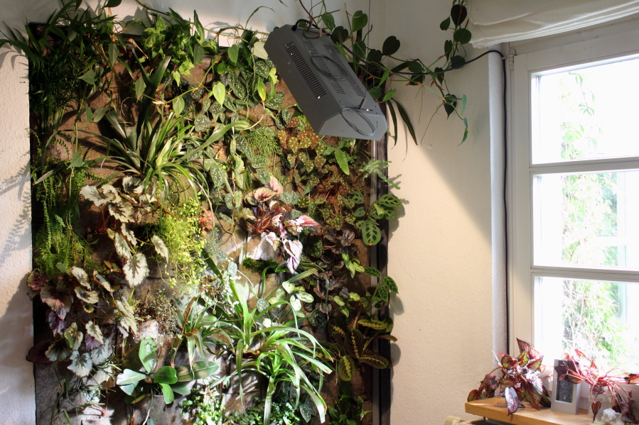 Urwald an der Wohnzimmerwand