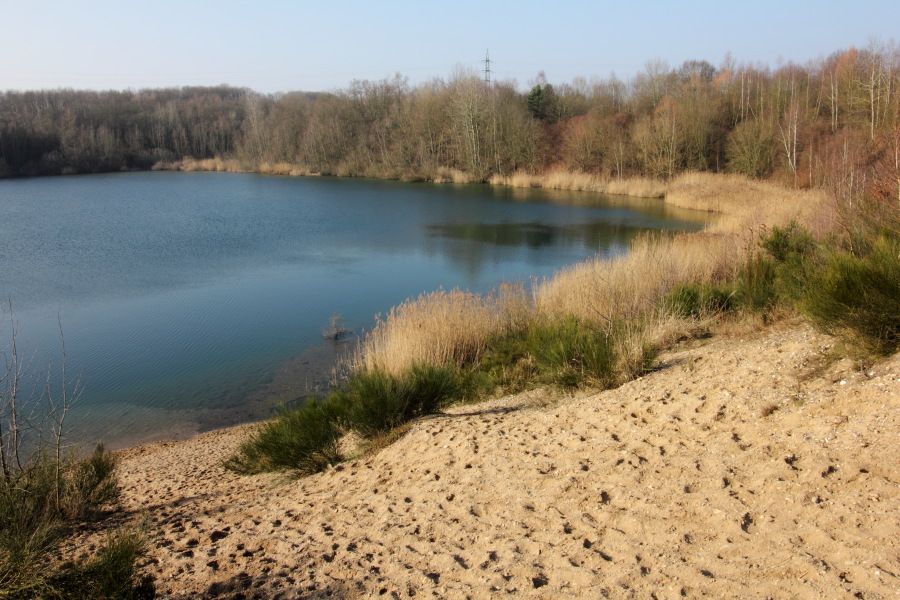 Lokation: Deutschland | Nordrhein-Westfalen | Köln | Dellbrück Kategorien: See, Datum: 16.02.2015