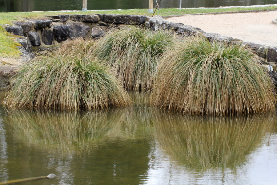 Lokation: Deutschland | Nordrhein-Westfalen | Bonn | Poppelsdorf Kategorien: See, Datum: 26.02.2015