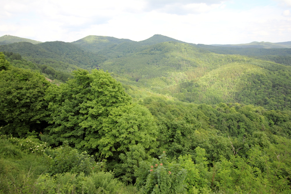 Lokation: Deutschland | Nordrhein-Westfalen | Bonn | Rhöndorf Kategorien: Berge, Datum: 13.06.2015