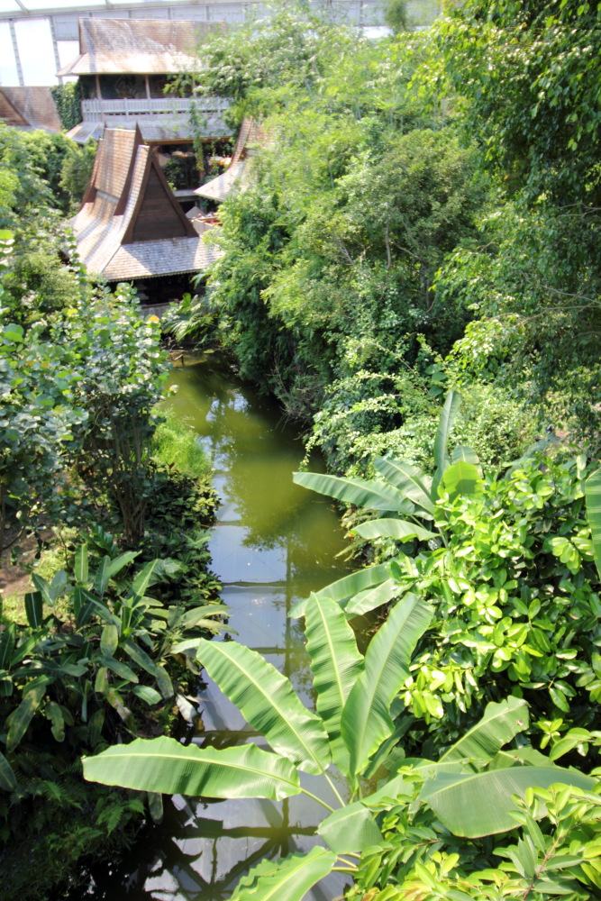 Lokation: Deutschland | Sachsen | Leipzig | Leipzig Kategorien: Gewächshaus, Datum: 01.07.2015