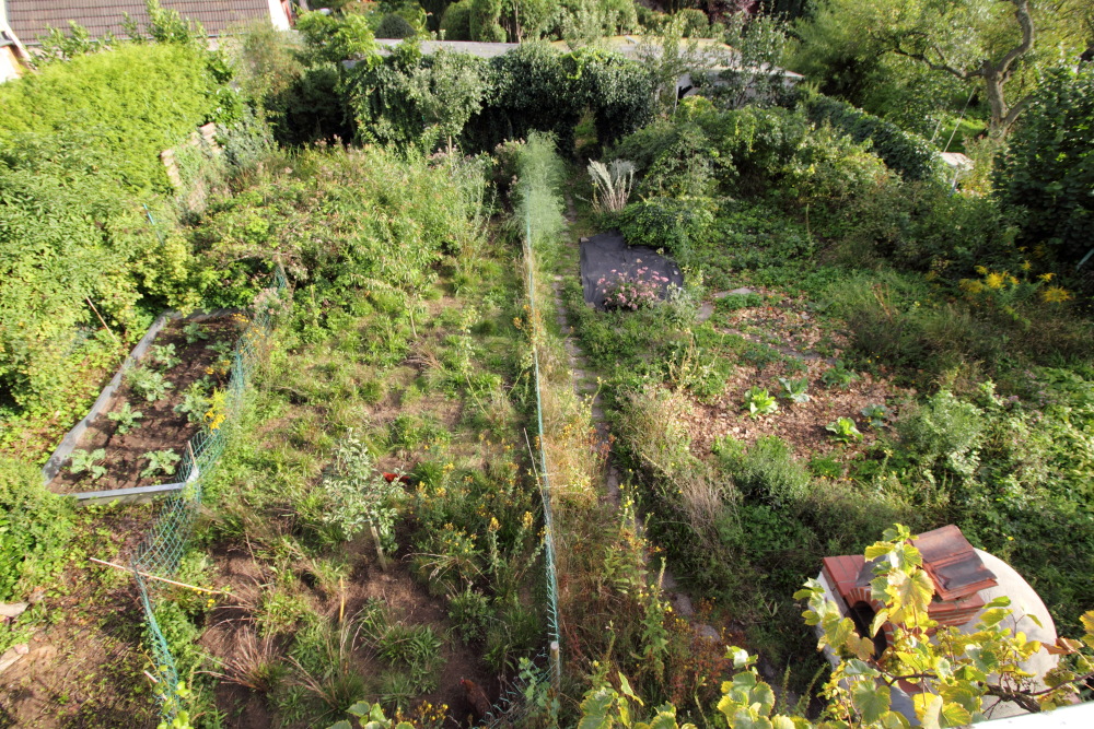 Lokation: Deutschland | Nordrhein-Westfalen | Bergisch Gladbach | Rodemich Kategorien: Permakultur, Datum: 06.09.2015