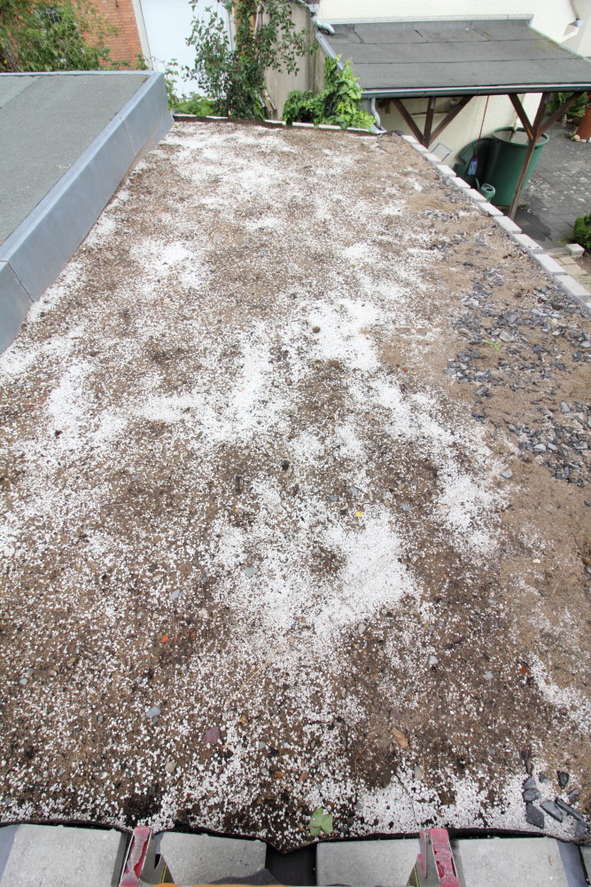 Lokation: Deutschland | Nordrhein-Westfalen | Bergisch Gladbach | Rodemich Kategorien: Bau, Naturgarten, Datum: 20.09.2015