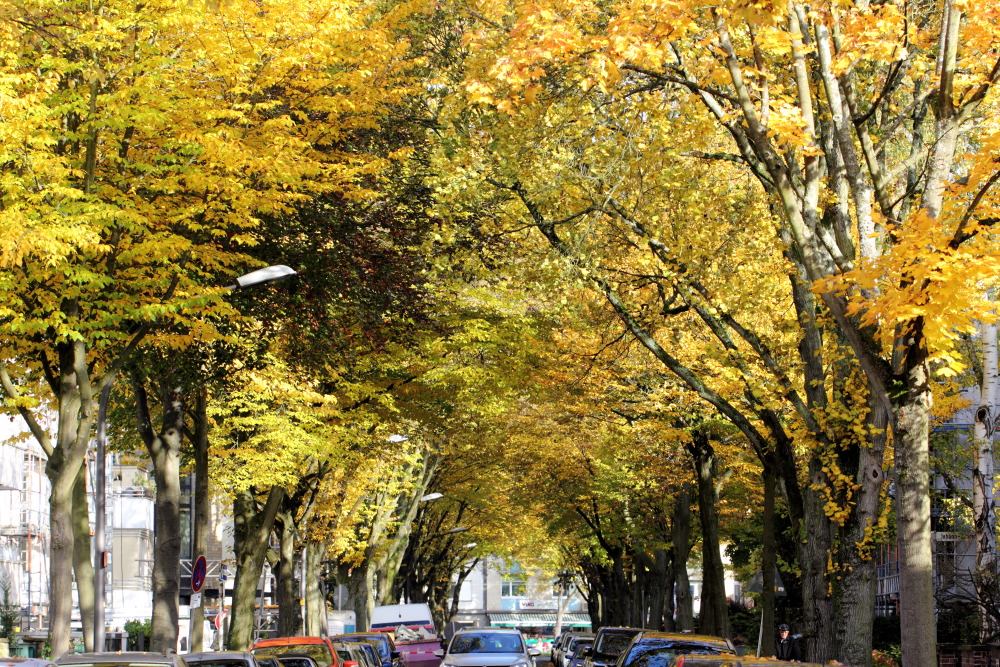 Kategorien: Herbst, Datum: 23.10.2015