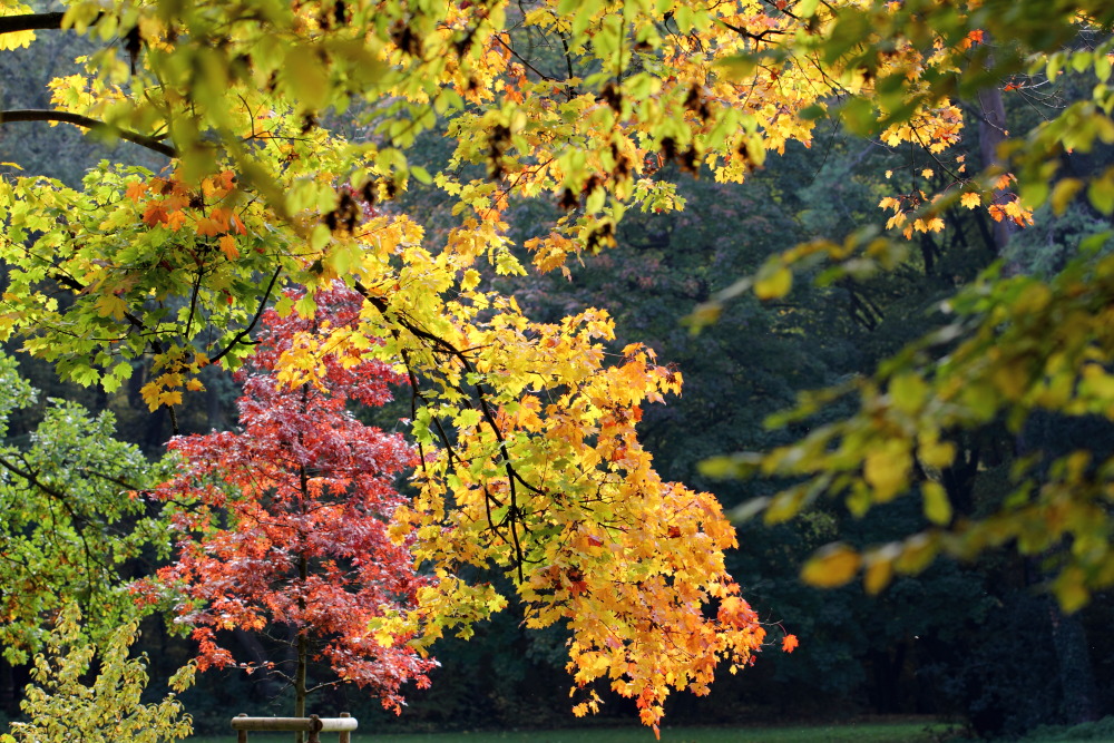 Kategorien: Herbst, Datum: 23.10.2015