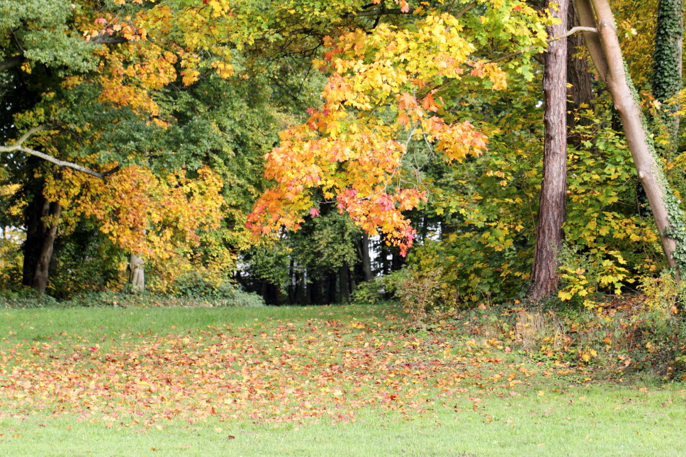 Kategorien: Herbst, Datum: 23.10.2015