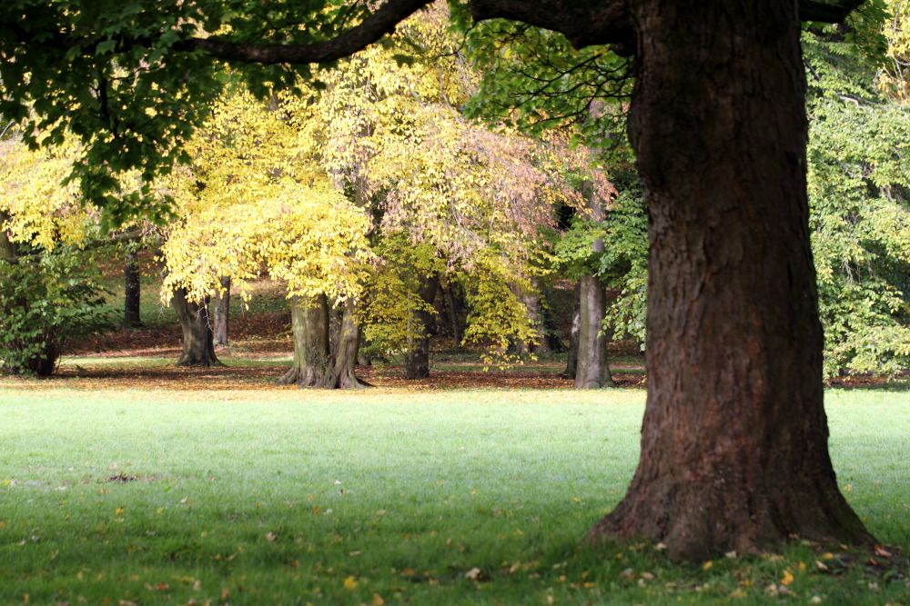 Kategorien: Herbst, Datum: 23.10.2015
