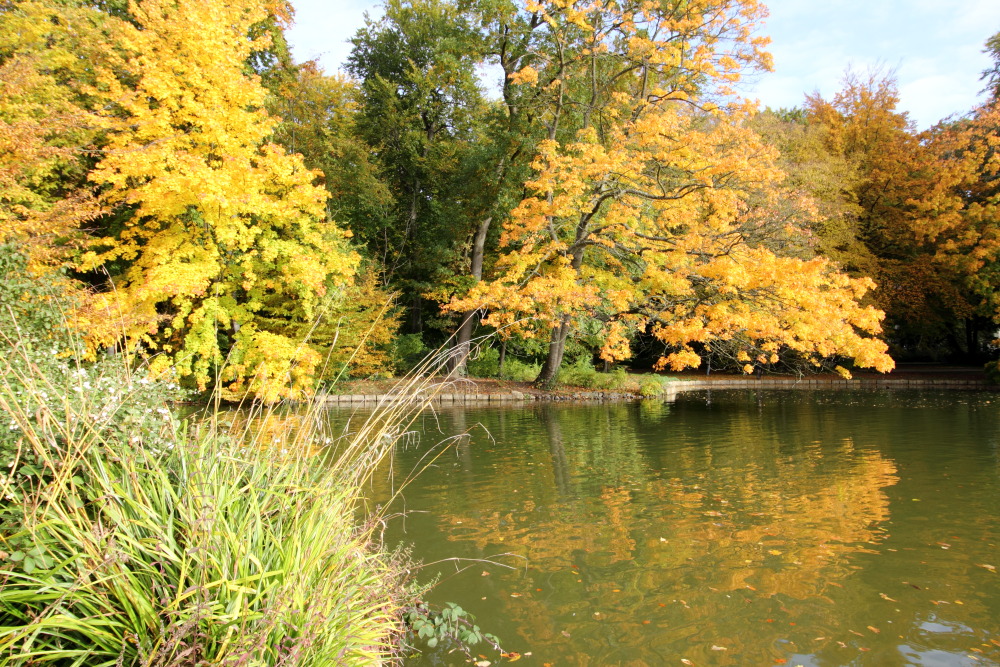 Kategorien: Herbst, Datum: 23.10.2015