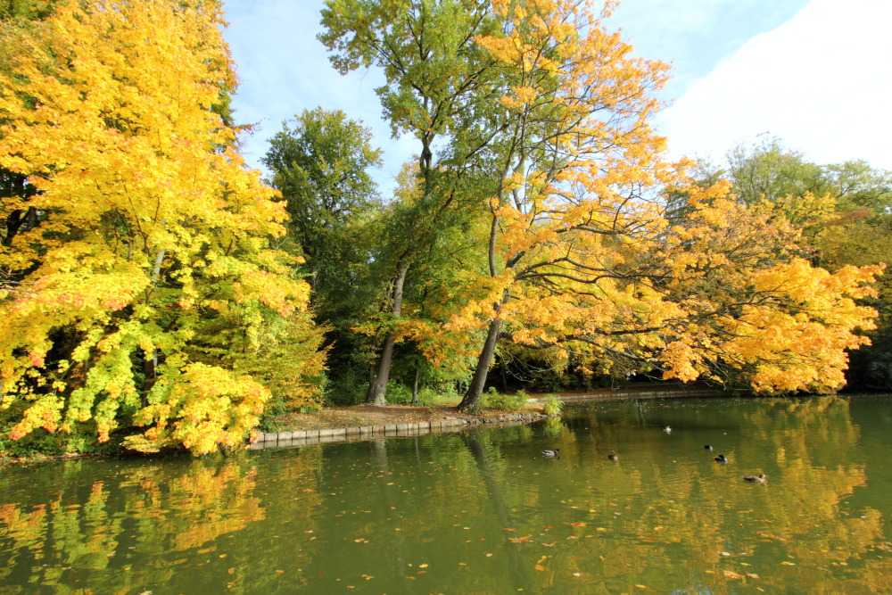 Kategorien: Herbst, Datum: 23.10.2015