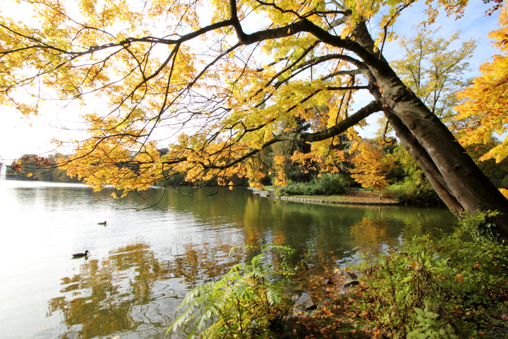 Kategorien: Herbst, Datum: 23.10.2015