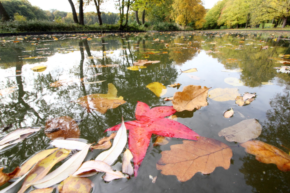 Kategorien: Herbst, Datum: 23.10.2015