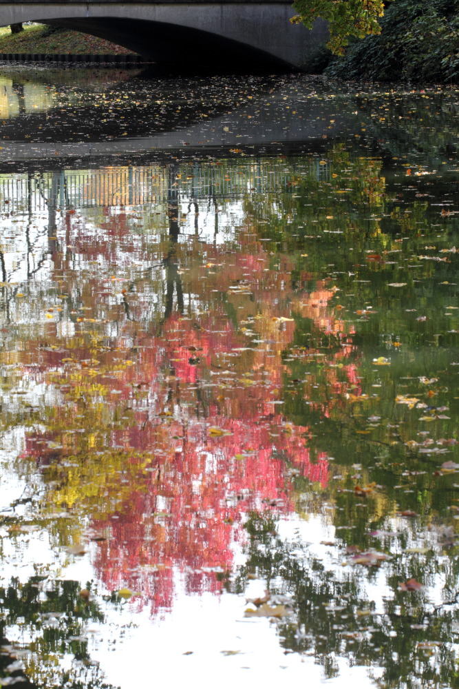 Kategorien: Herbst, Datum: 23.10.2015