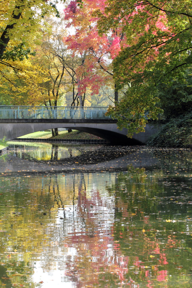 Kategorien: Herbst, Datum: 23.10.2015