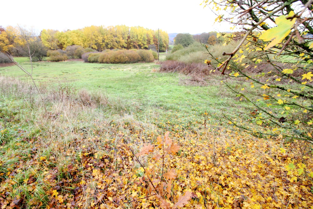 Lokation: Deutschland | Saarland | Oberthal | Steinberg-Deckenhardt Kategorien: Herbst, Datum: 04.11.2015