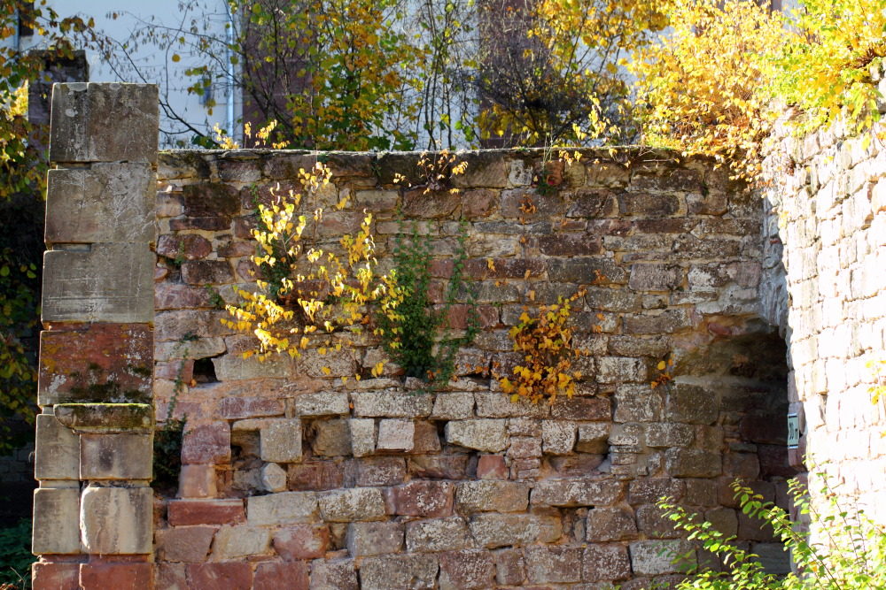 Lokation: Deutschland | Saarland | Blieskastel | Blieskastel Kategorien: Gebäude, Datum: 05.11.2015
