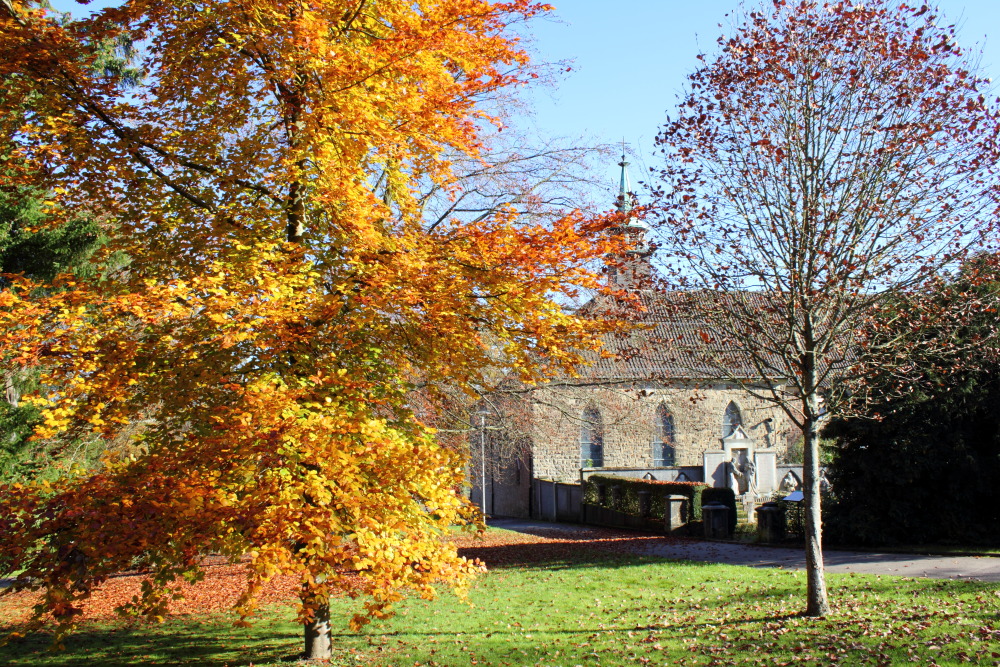 Lokation: Deutschland | Saarland | Blieskastel | Blieskastel Kategorien: Herbst, Datum: 05.11.2015