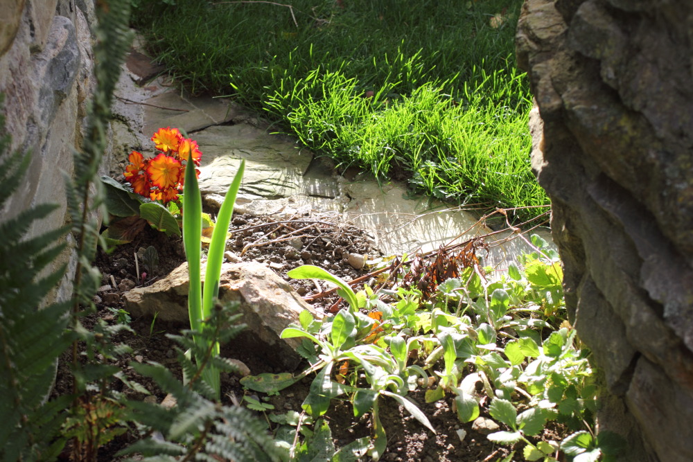 Lokation: Deutschland | Nordrhein-Westfalen | Hürtgenwald | Germeter Kategorien: Naturgarten, Datum: 15.11.2015