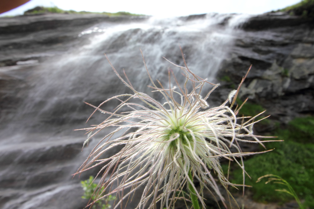 Lokation: Österreich | Tirol | Winkl | Winkl Kategorien: Wasserfall, Datum: 07.07.2015