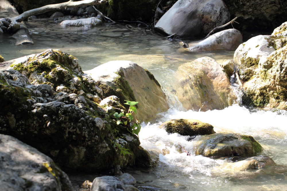 Lokation: Österreich | Kärnten | Strugarjach-Strugarje | Sapotnica Kategorien: Bach, Datum: 09.07.2015