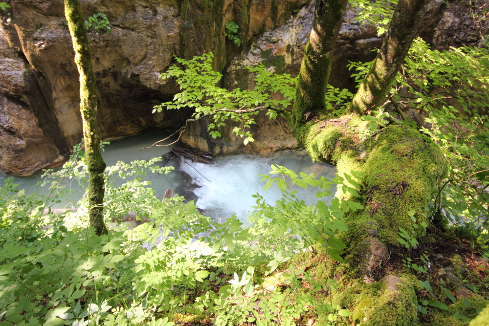 Lokation: Österreich | Kärnten | Strugarjach-Strugarje | Sapotnica Kategorien: Schlucht, Datum: 09.07.2015