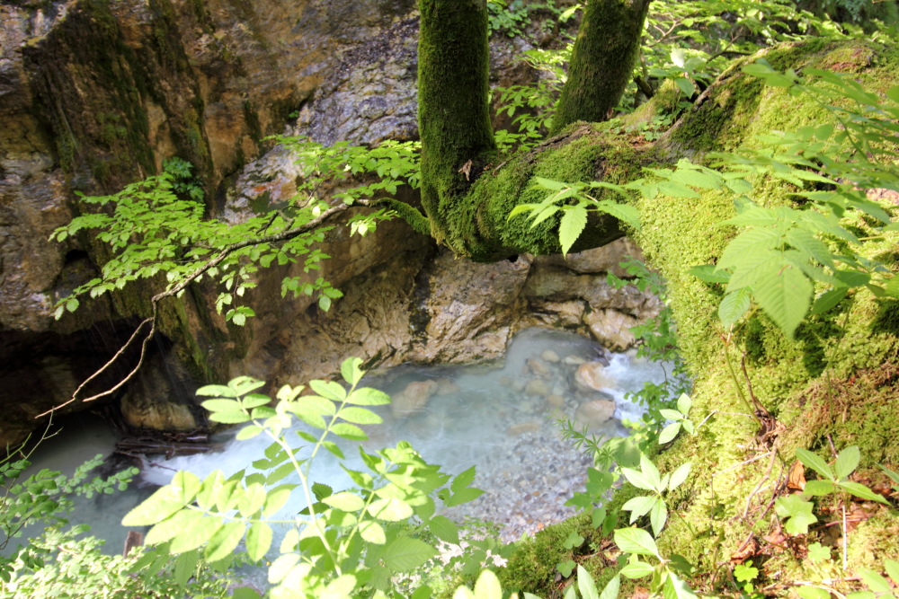 Lokation: Österreich | Kärnten | Strugarjach-Strugarje | Sapotnica Kategorien: Schlucht, Datum: 09.07.2015