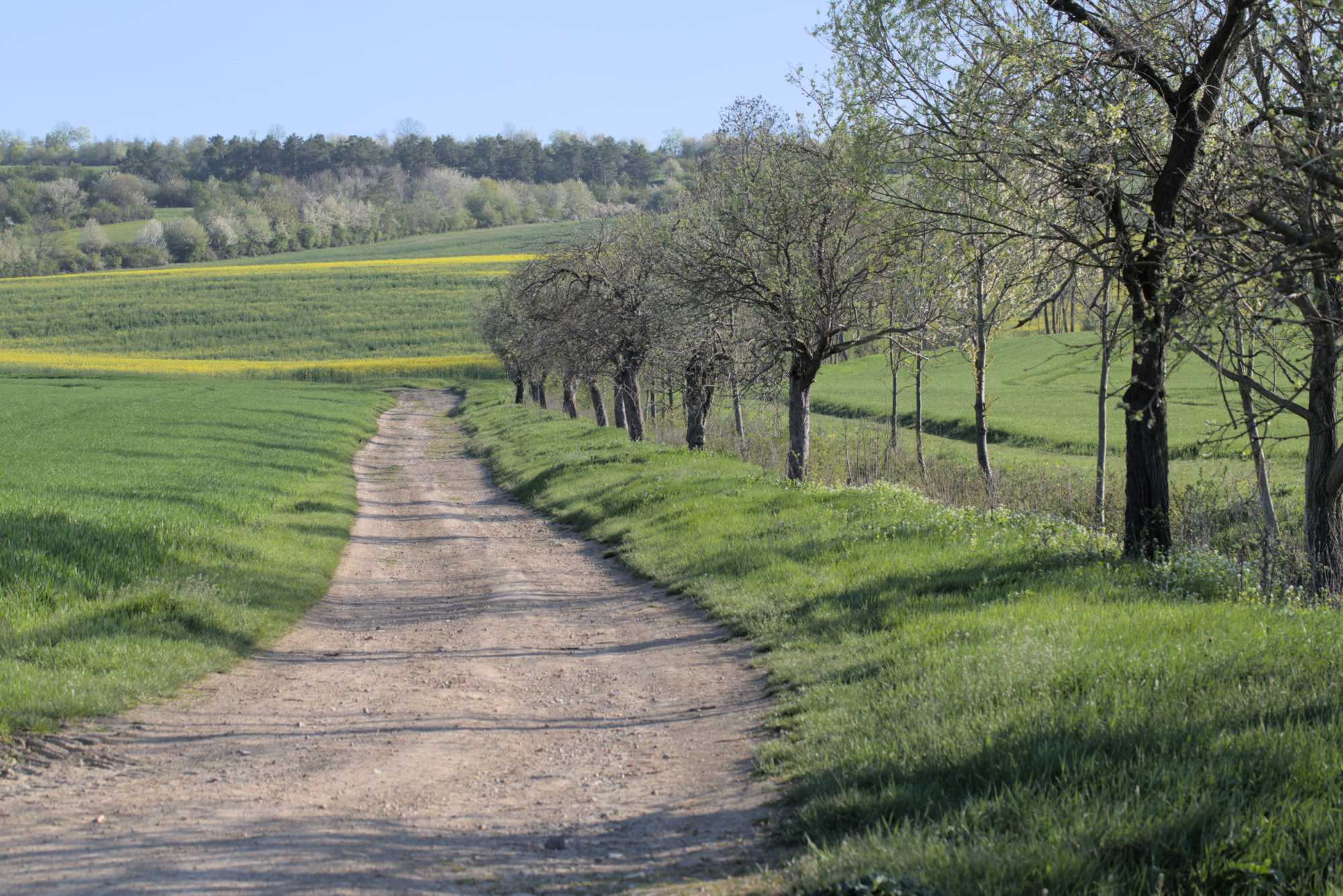 Lokation: Deutschland | Thüringen | Landkreis Gotha | Drei Gleichen Kategorien: Landschaft, Datum: 07.05.2016