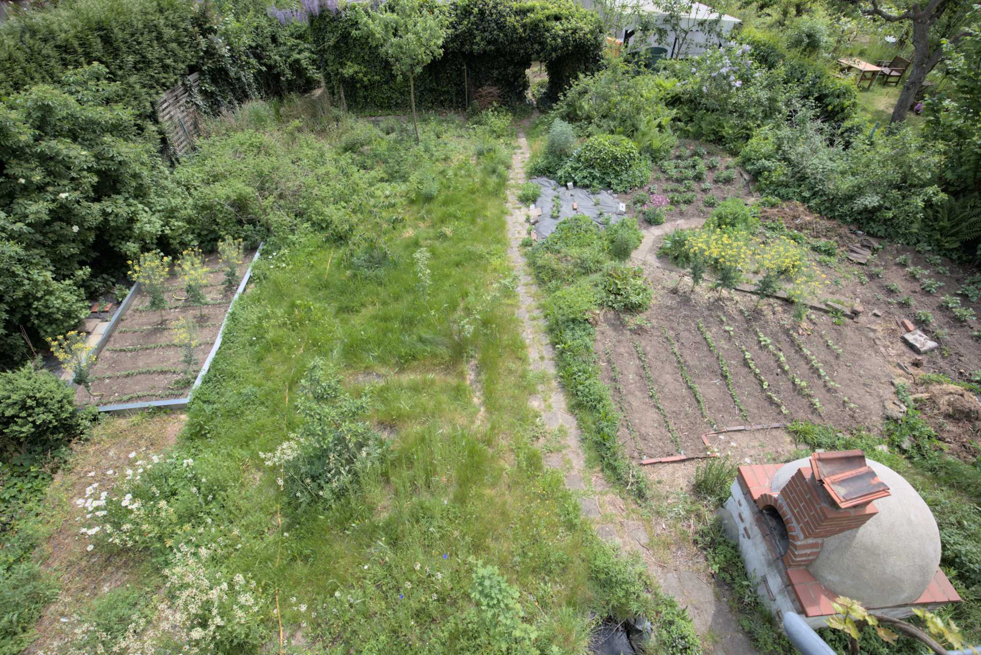 Lokation: Deutschland | Nordrhein-Westfalen | Rheinisch-Bergischer Kreis | Bergisch Gladbach Kategorien: Nutzgarten, Datum: 15.05.2016