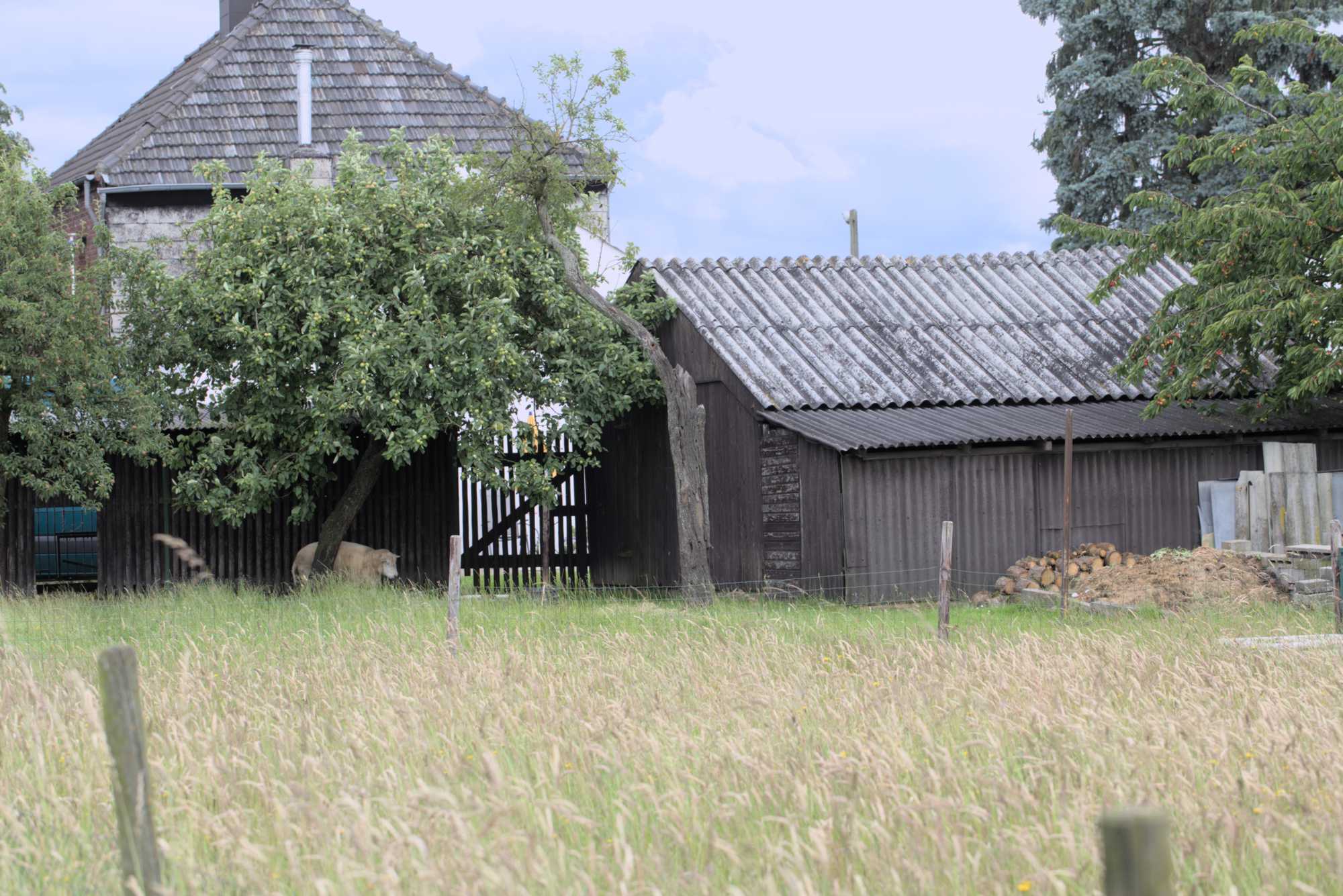 Lokation: Deutschland | Nordrhein-Westfalen | Heinsberg | Wassenberg Kategorien: Immobilie, Datum: 21.06.2016