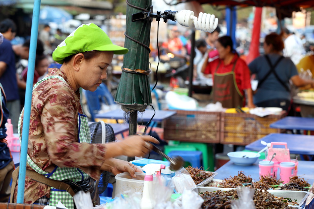 Lokation: Thailand | Phranakhon Si Ayutthaya | Pharnakhon Si Ayutthaya | Ayutthaya Kategorien: Leute, Datum: 04.02.2016