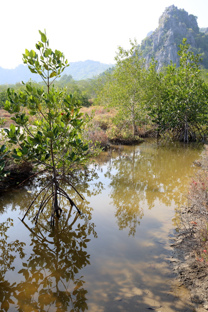 Lokation: Thailand | Prachuap Khirikhan | Kui Buri | Ban Khao Daeng Kategorien: Berge, Datum: 10.02.2016