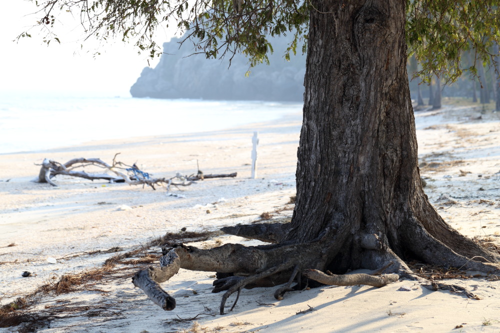 Lokation: Thailand | Prachuap Khirikhan | Kui Buri | Ban Khao Daeng Kategorien: Strand, Datum: 10.02.2016