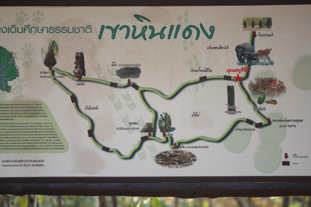 Lokation: Thailand | Uthai Thani | Ban Khao Khiao Kategorien: Tafel, Datum: 12.02.2016