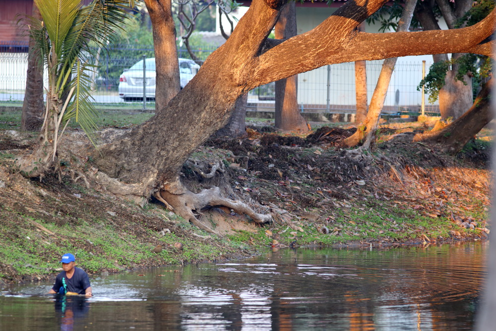 Lokation: Thailand | Sukhothai | Ban Dan Lan Hoi | Ban Mueang Kao Kategorien: Kanal, Datum: 13.02.2016