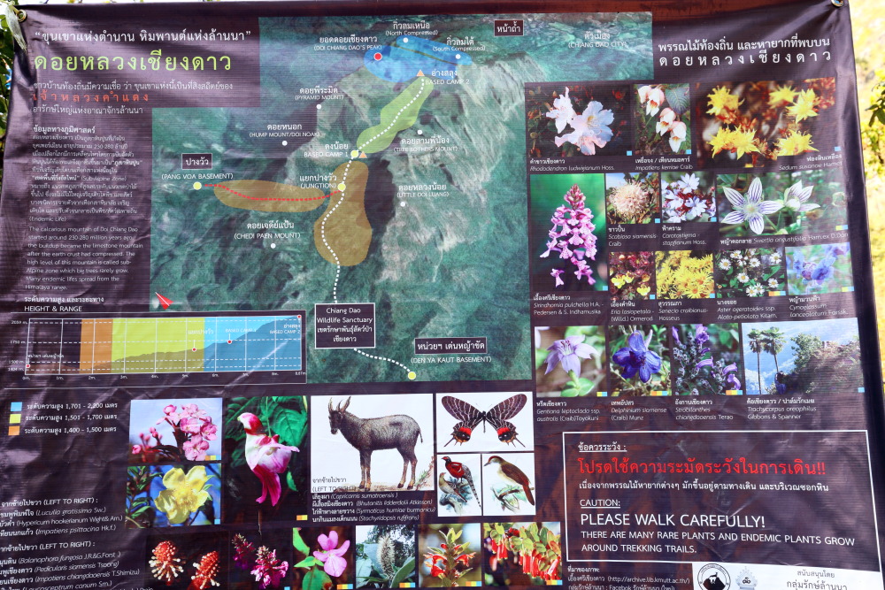 Lokation: Thailand | Chiang Mai | Chiang Dao | Ban Tham Kategorien: Tafel, Datum: 17.02.2016