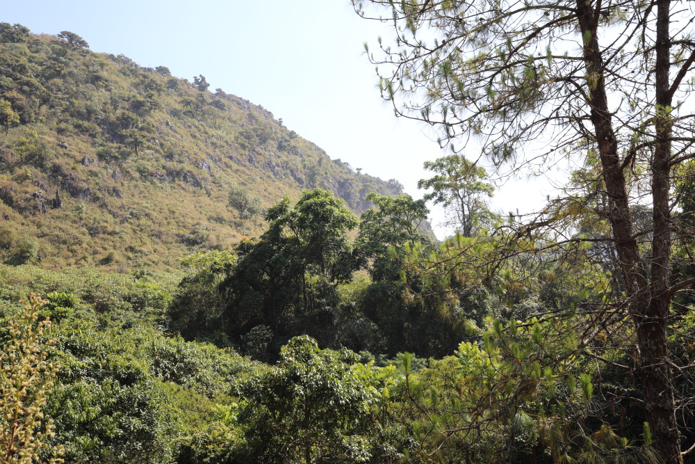 Lokation: Thailand | Chiang Mai | Chiang Dao | Ban Tham Kategorien: Berge, Datum: 17.02.2016