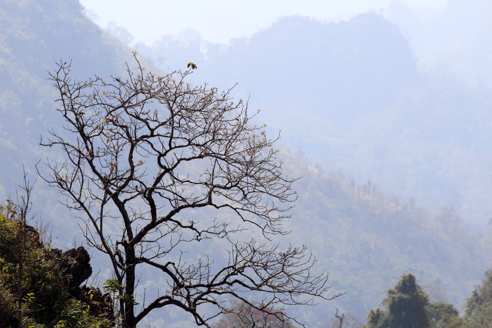 Lokation: Thailand | Chiang Mai | Chiang Dao | Ban Muang Ngai Kategorien: Berge, Datum: 17.02.2016