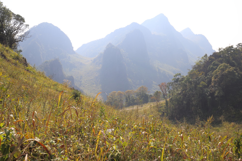Lokation: Thailand | Chiang Mai | Chiang Dao | Ban Na Lao Mai Kategorien: Berge, Datum: 17.02.2016