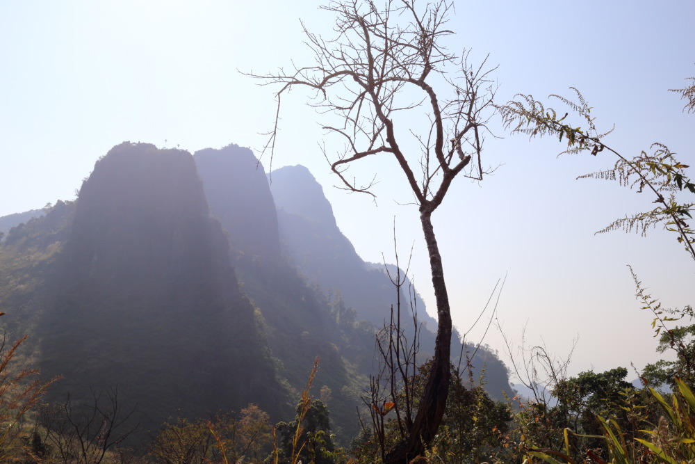 Lokation: Thailand | Chiang Mai | Chiang Dao | Ban Na Lao Mai Kategorien: Berge, Datum: 17.02.2016