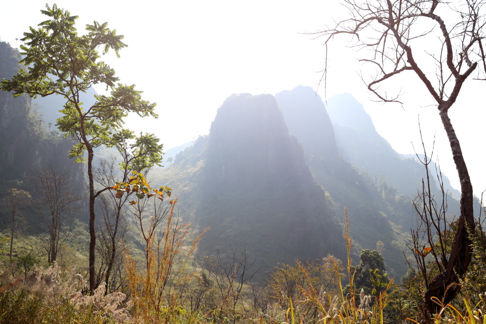 Lokation: Thailand | Chiang Mai | Chiang Dao | Ban Na Lao Mai Kategorien: Berge, Datum: 17.02.2016