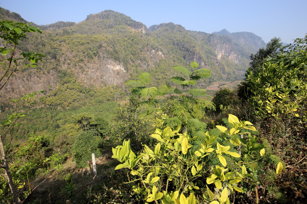 Lokation: Thailand | Chiang Mai | Ban Pha Daeng Kategorien: Berge, Datum: 18.02.2016