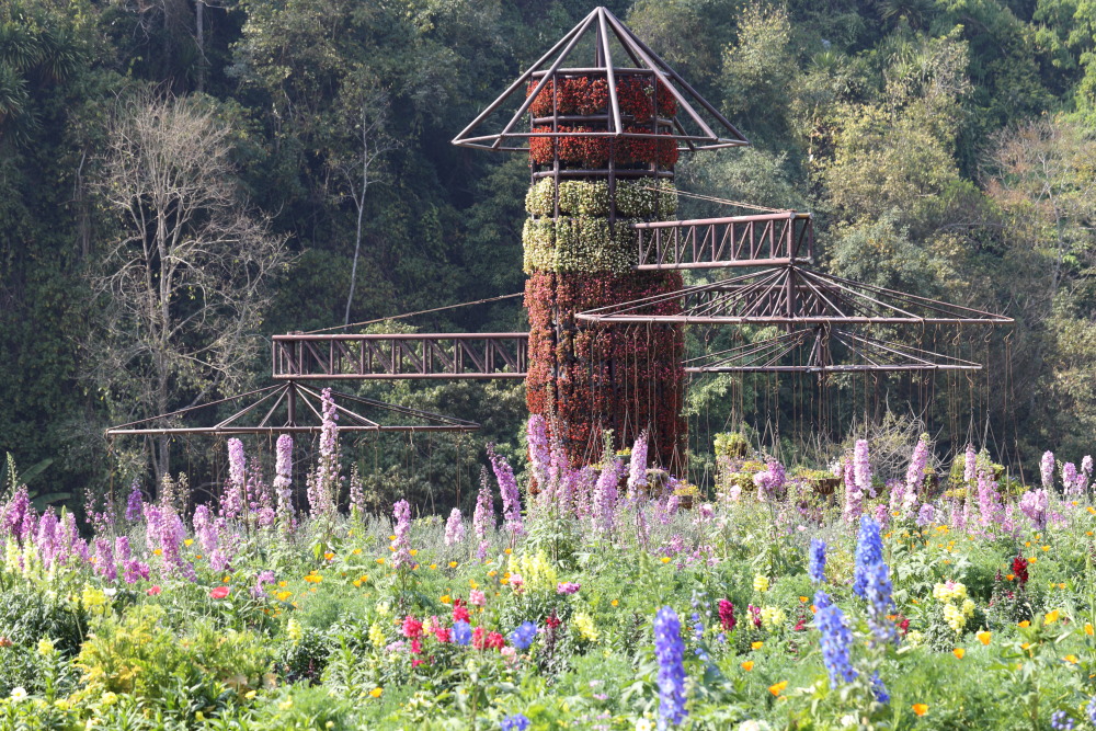 Lokation: Thailand | Chiang Mai | Fang | Ban Khum Kategorien: Garten, Datum: 18.02.2016