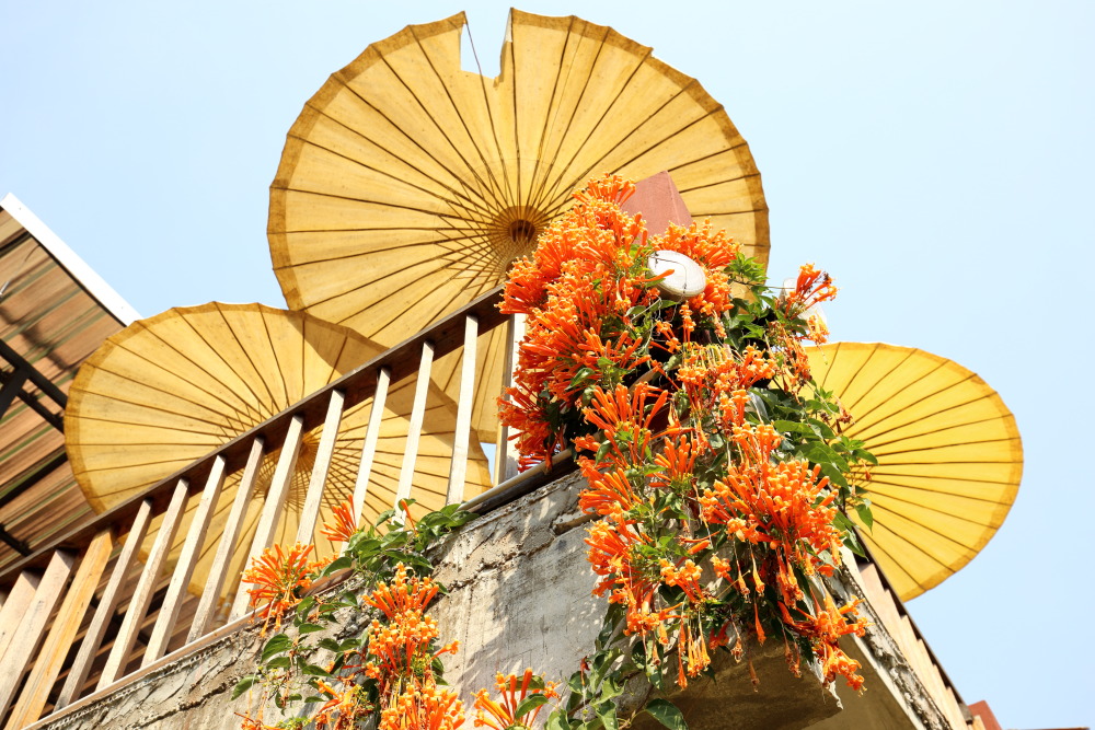 Lokation: Thailand | Chiang Mai | Chiang Dao | Ban Kaeng Pan Tao Kategorien: Lokale, Datum: 19.02.2016