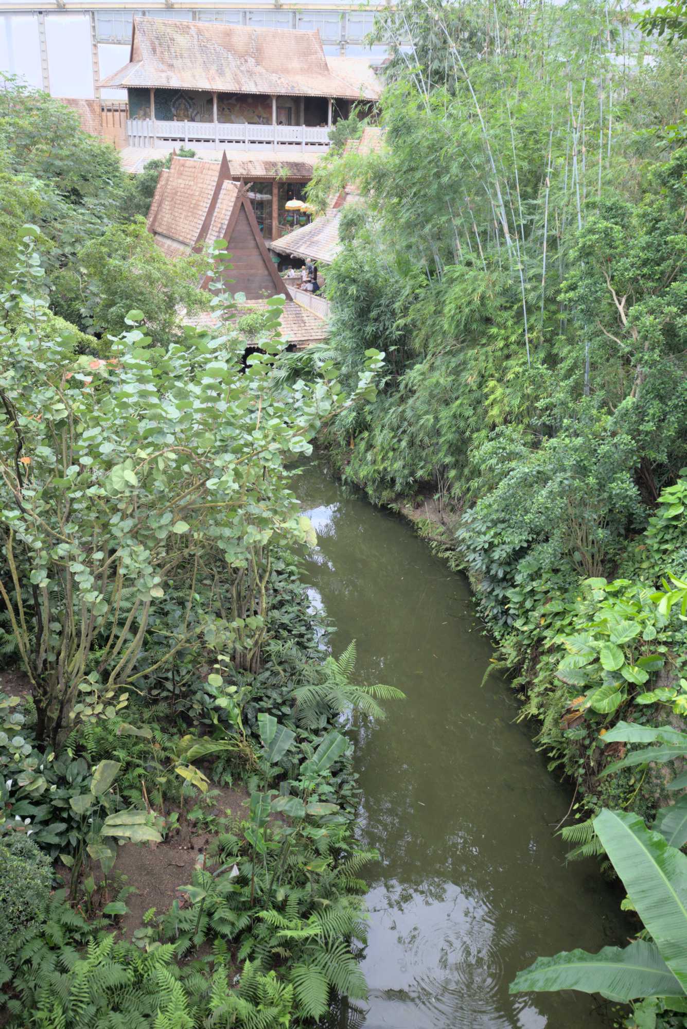 Lokation: Deutschland | Sachsen | Leipzig | Gondwanaland Kategorien: Gewächshaus, Datum: 18.03.2017