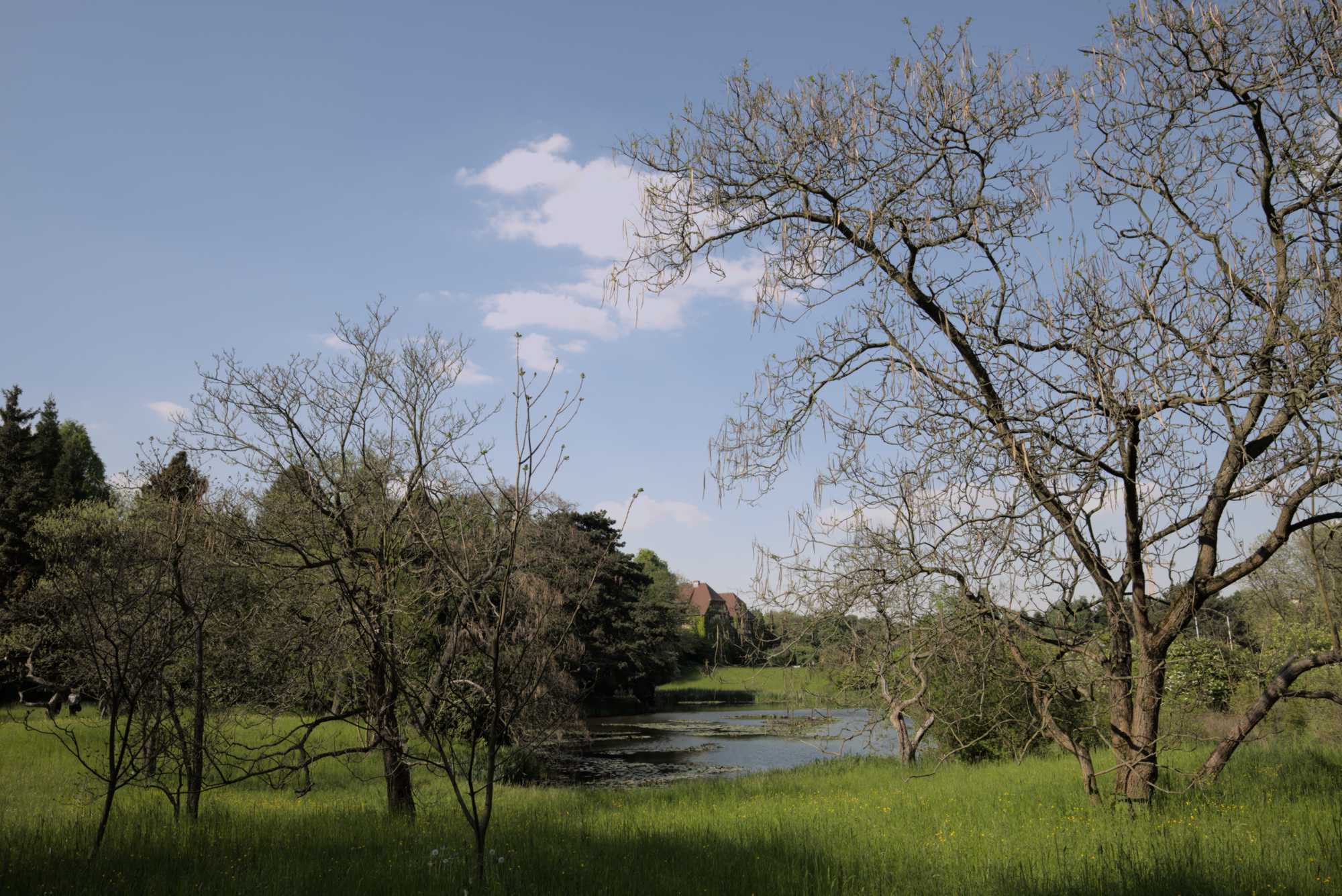 Lokation: Deutschland | Berlin | Dahlem | Botanischer Garten Kategorien: Garten, Datum: 19.05.2017