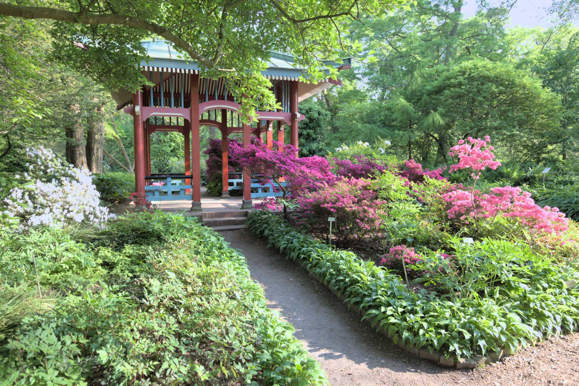 Lokation: Deutschland | Berlin | Dahlem | Botanischer Garten Kategorien: Garten, Datum: 19.05.2017